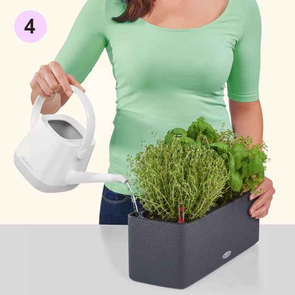 Watering the Planter